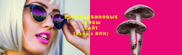 прущая мука Алзамай