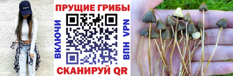 продажа наркотиков  Слюдянка  Галлюциногенные грибы мухоморы 